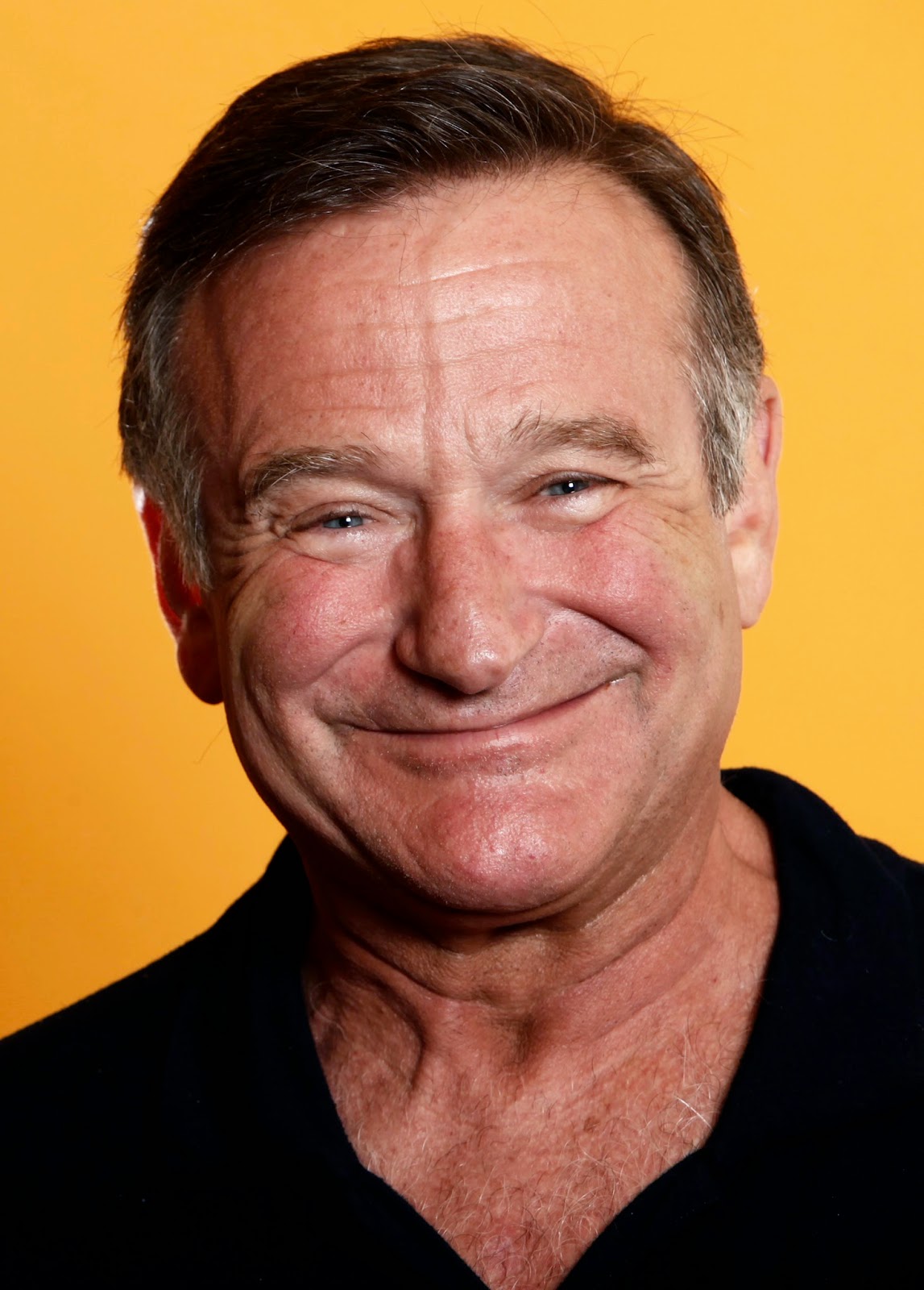 Het Schimmenrijk Robin Williams
