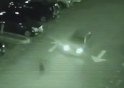 Shadow Person Shadow Person Gets Hit By Car The Vanishes, UFO Sightings