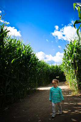 Photo by Kerem Hanci underwood family farms corn maze