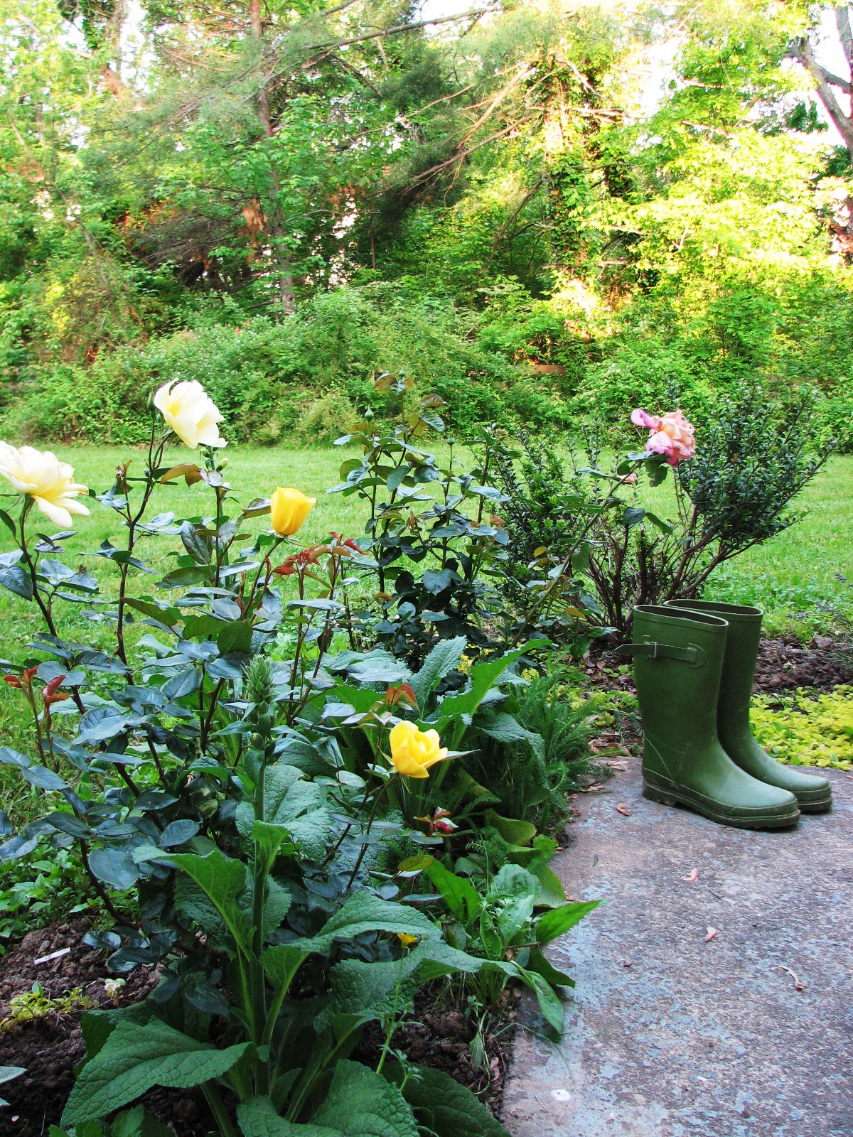 Pure Style Home: My back patio garden
