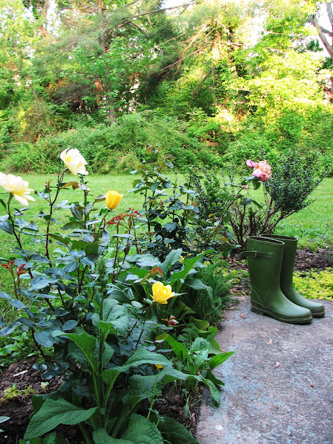 Pure Style Home: My back patio garden