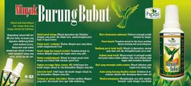 minyak bubut,obat herbal,herbal,hpai,nabawi herba,sehat hpa