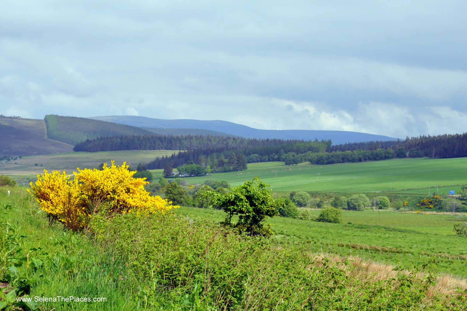 Our Scottish Road Trip