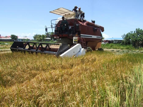 instelling prostituees