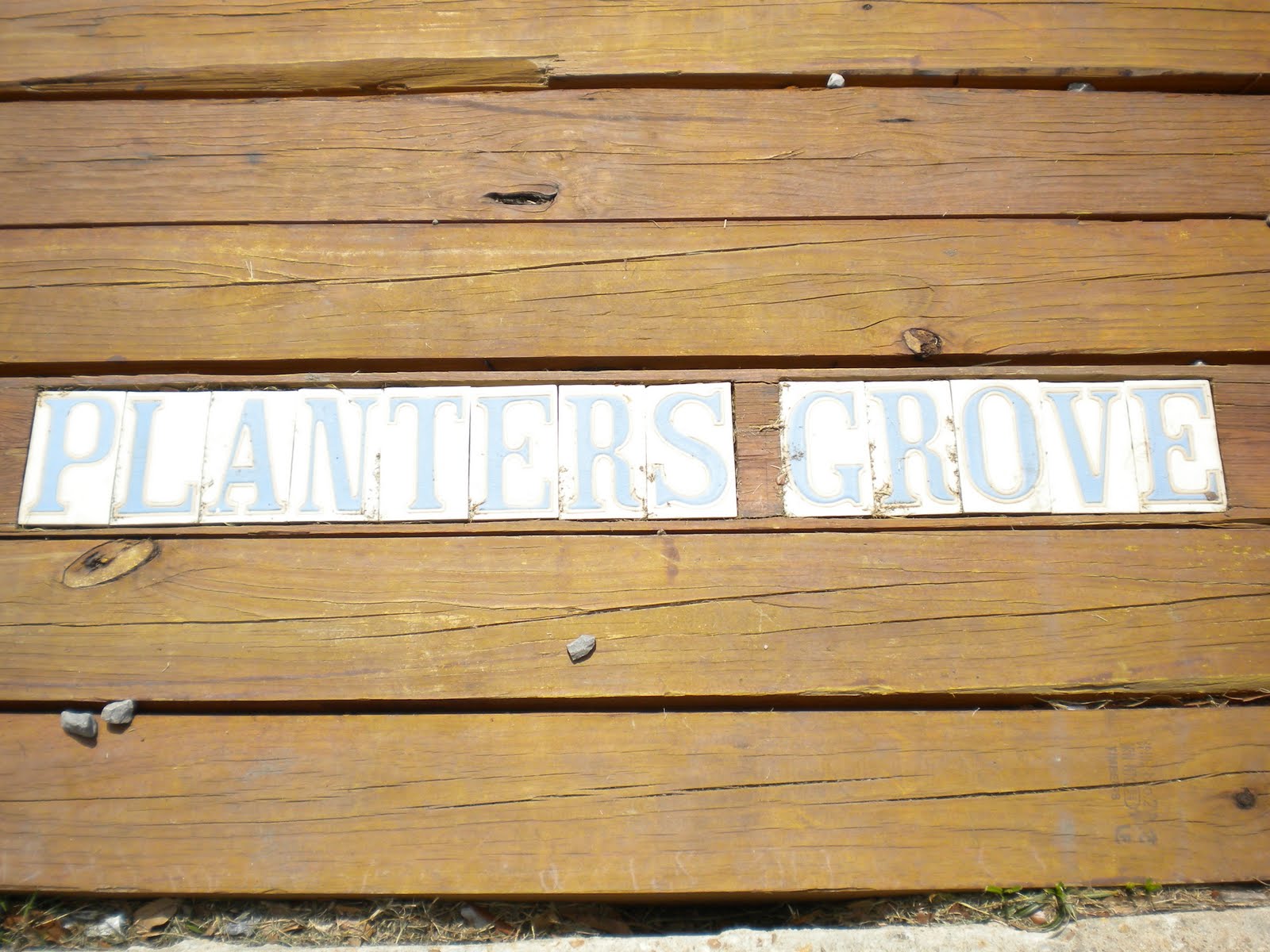 Balaenius Rex!! Planter's Grove, New Orleans, LA