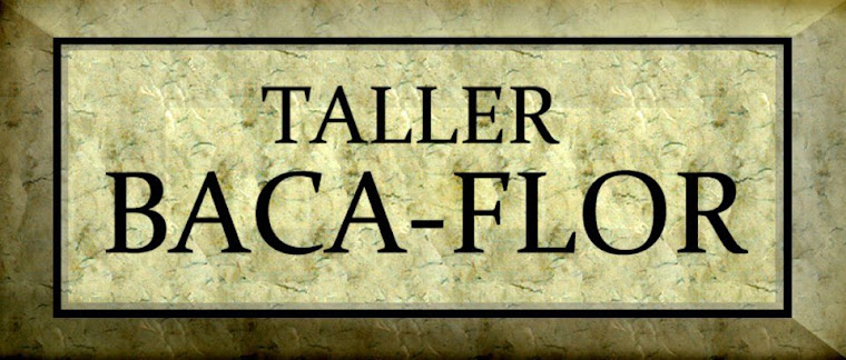 TALLER BACA-FLOR