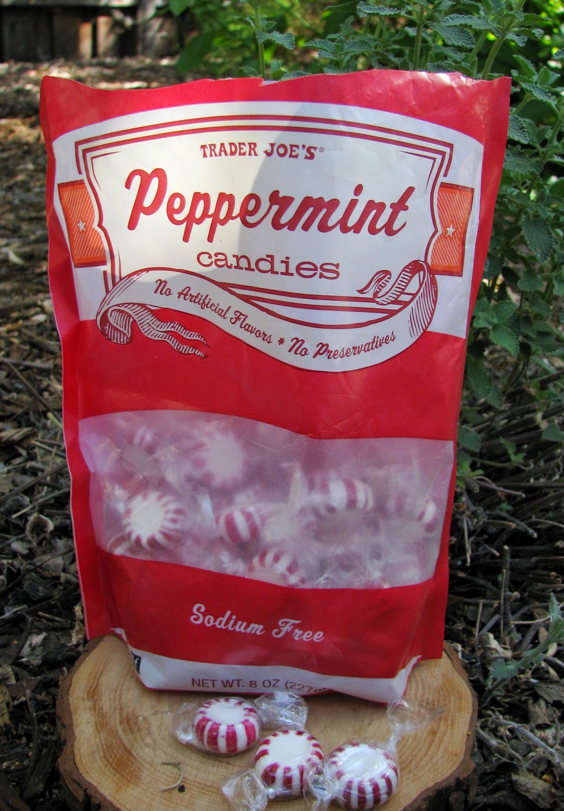 Healthy Gypsy Traveller NATURAL REMEDIES Motion Sickness