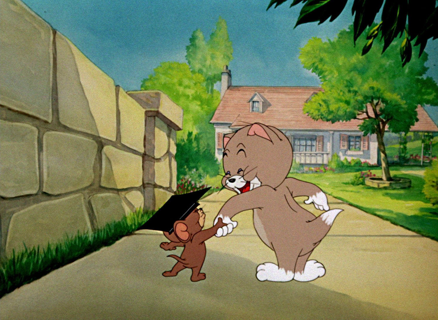 Tom Amp Jerry Pictures Quot Professor Tom Quot