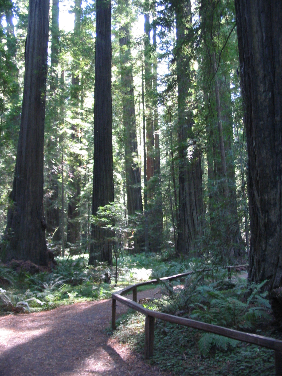 Albee Creek Campground