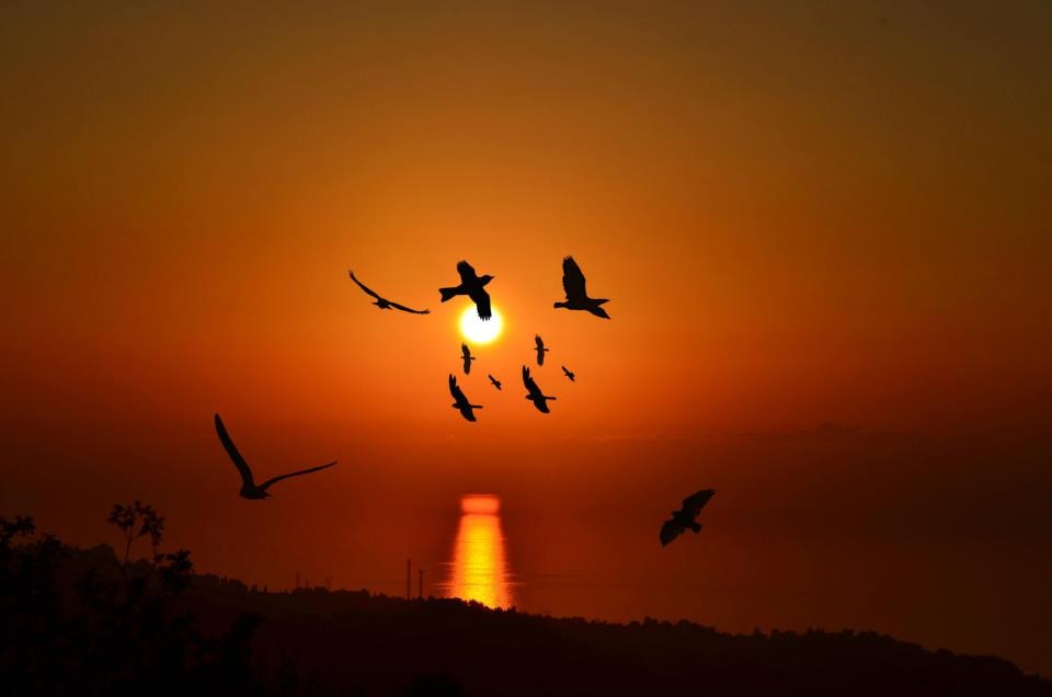 murat demirci photography kadrajimdan yansiyanlar