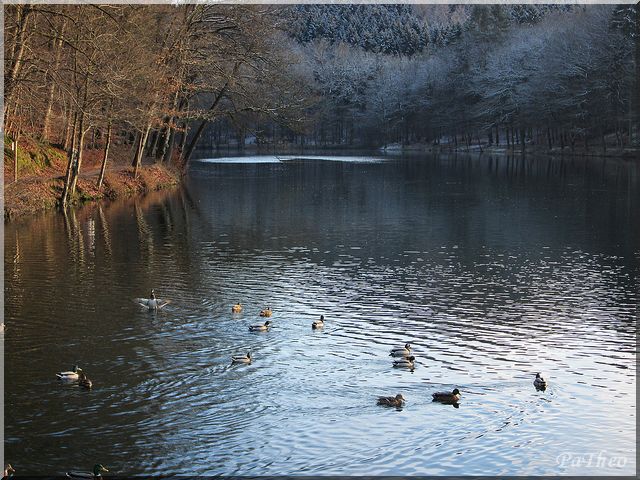 Unternehmungen Passau Haus Am Strom 2019 06 18