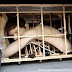 Ron Mueck realistic Sculptors Gallery
