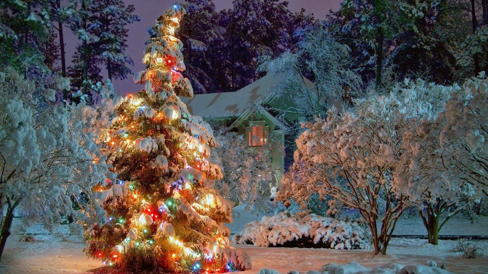 Susie Mallett S Conductive Upbringing And Lifestyle Twenty Years