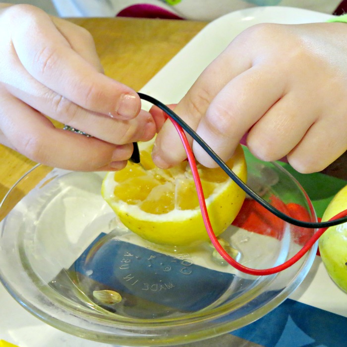 Green Stem Challenge Light from Lemons Smarty Pants