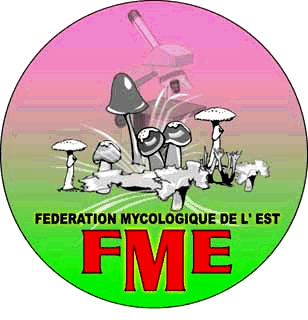 Fédération Mycologique de l’Est