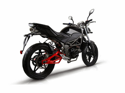 Minerva SACHS Naked 250 Minerva SACHS Naked 250