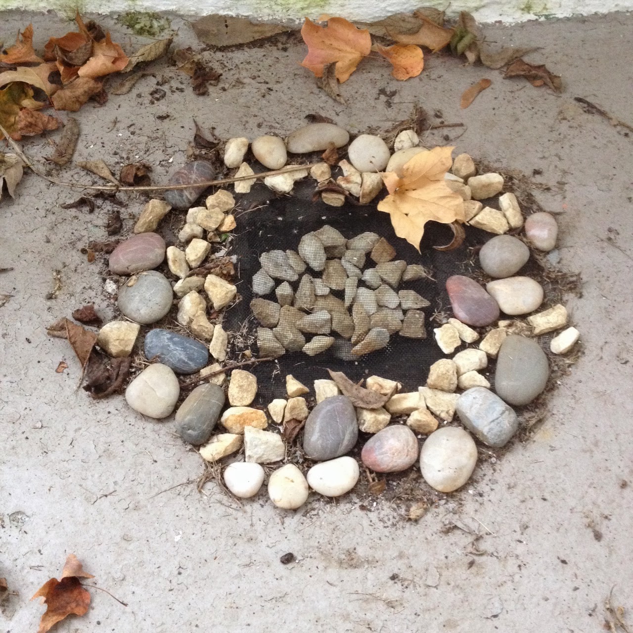 Inventlive Keeping Outside Drains Clear Of Leaves And Otherthings