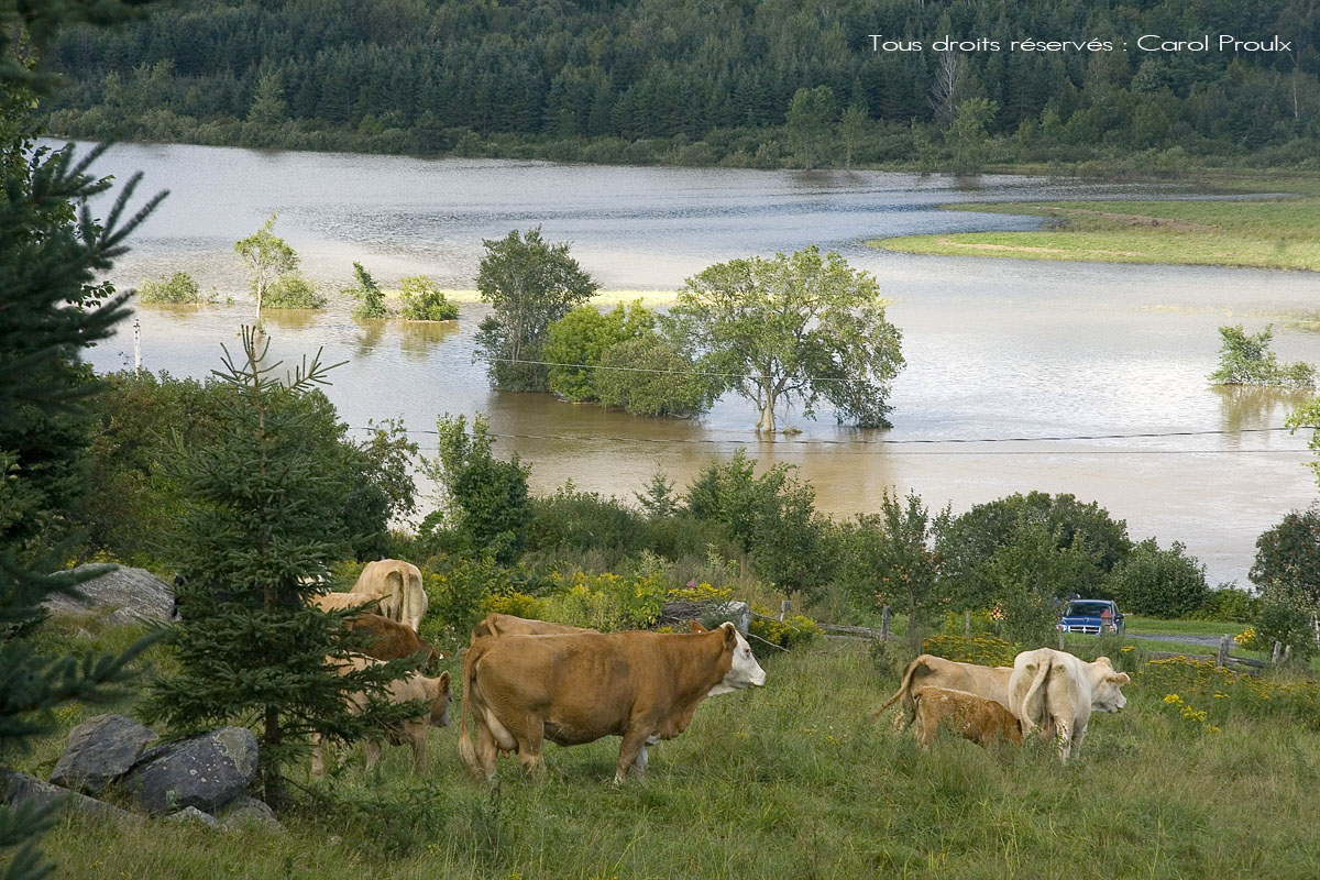Cadre Nature StEphrem de Beauce