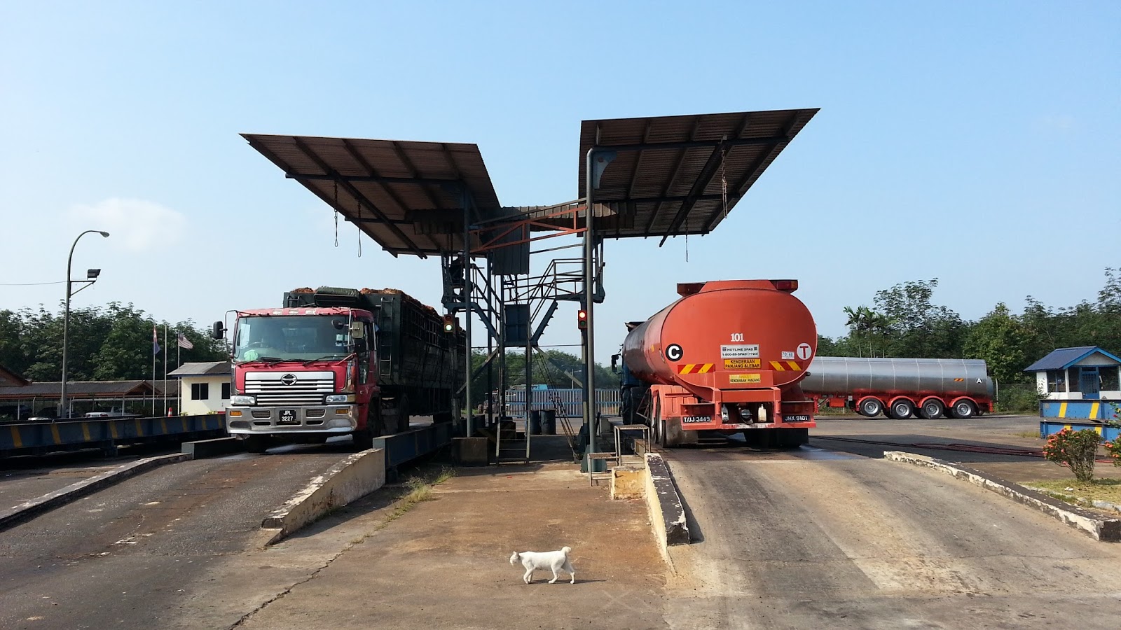 Sharing station Weighbridge and loading ramp