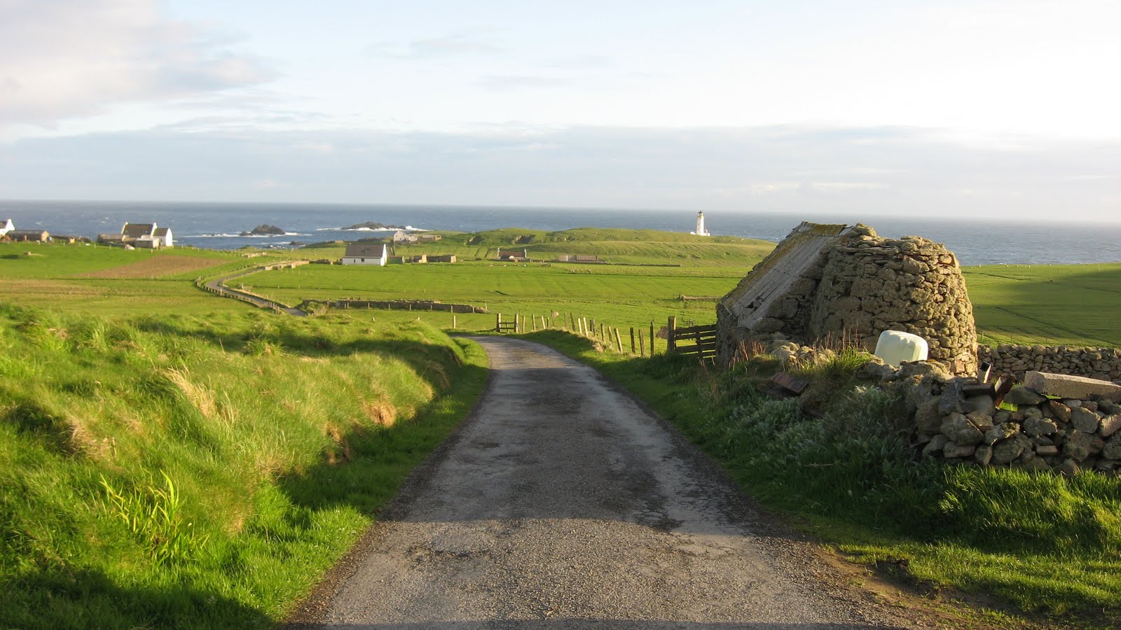 Andy's round the world trip Fair Isle. All sweaters and birds.