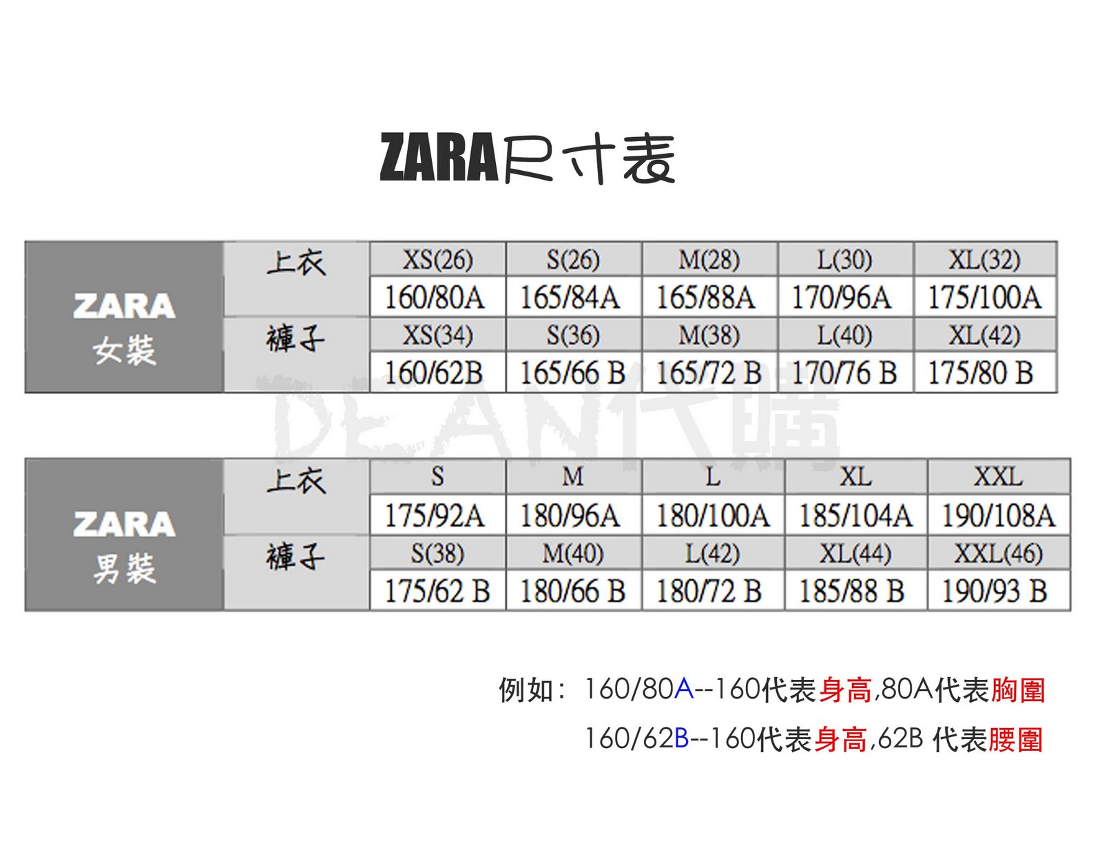 DEAN代購 ZARA尺寸表