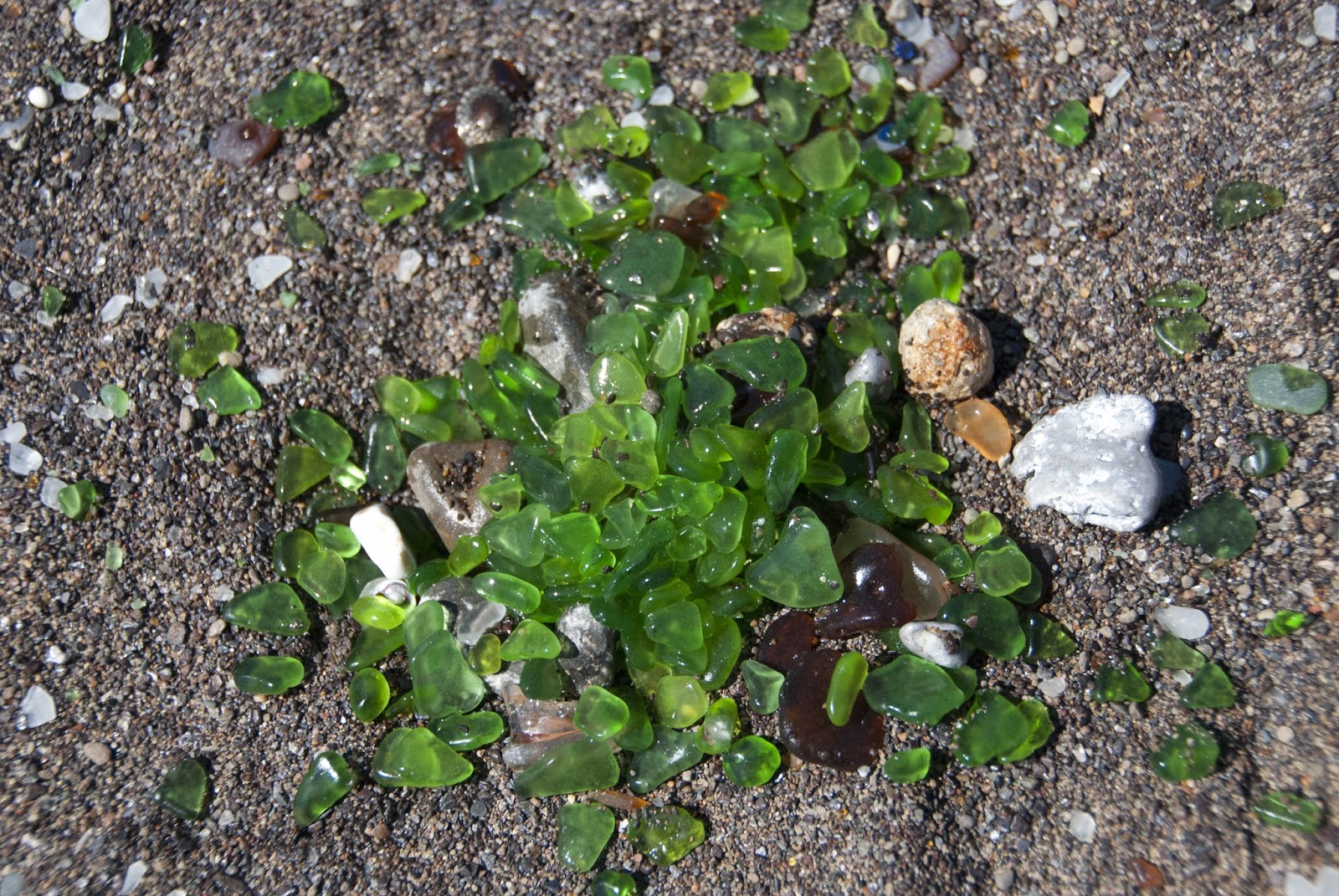 All Things Elise Amp Alina May 2013