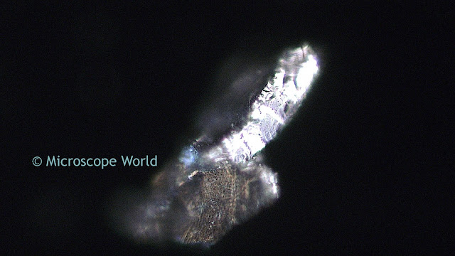 Microscopy image of silver at 200x.