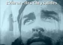 L'Aurore des Chrysalides