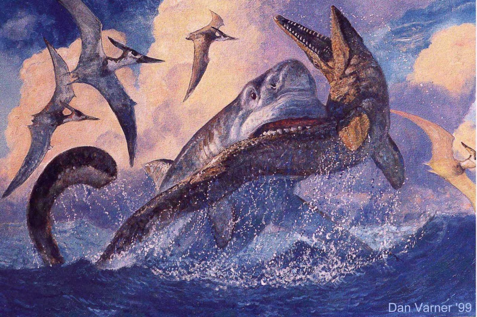 Megalodon Shark Megalodon Shark