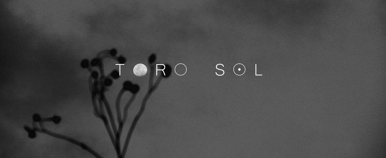Toro Sol