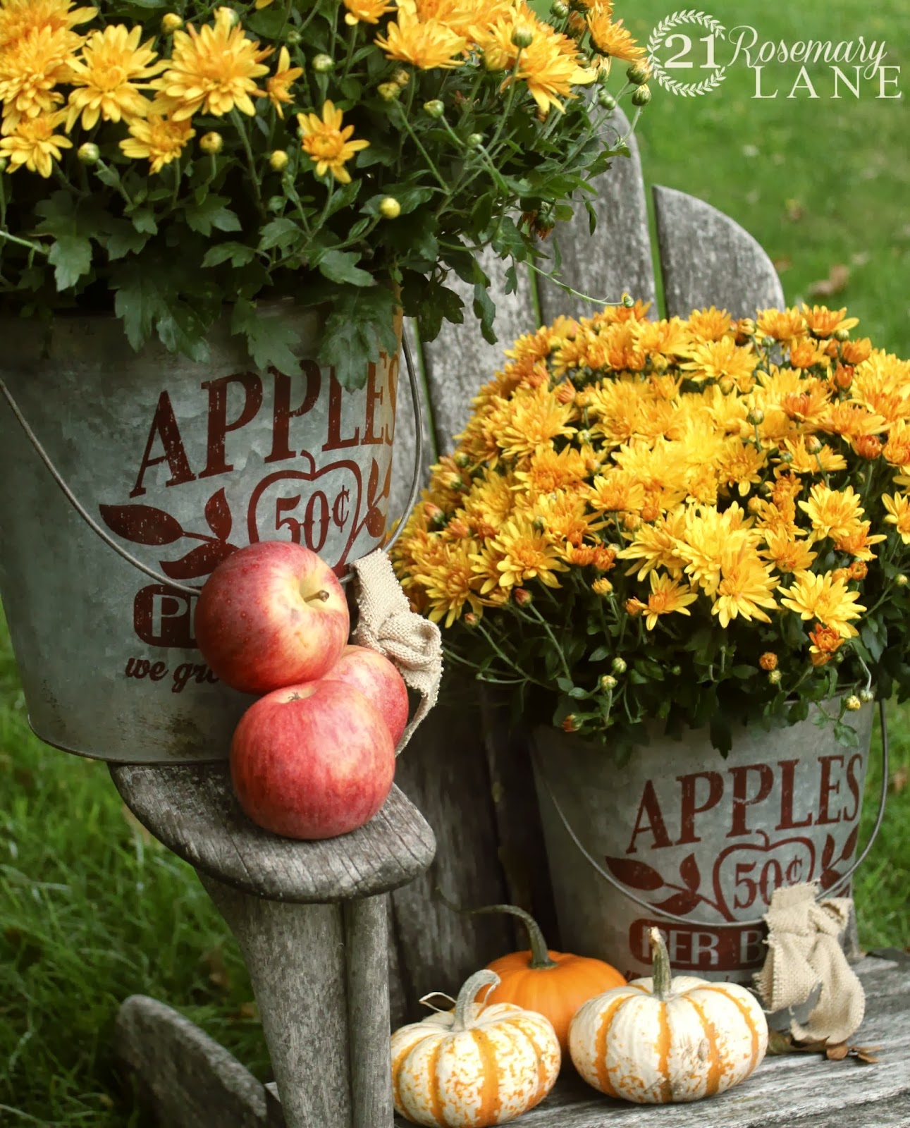 21 Rosemary Laneapples 50 cents a BUCKET (two galvanized buckets
