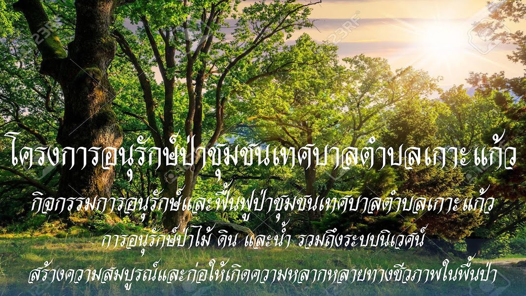 โครงการอนุรักษ์ป่าชุมชนเทศบาลตำบลเกาะแก้ว