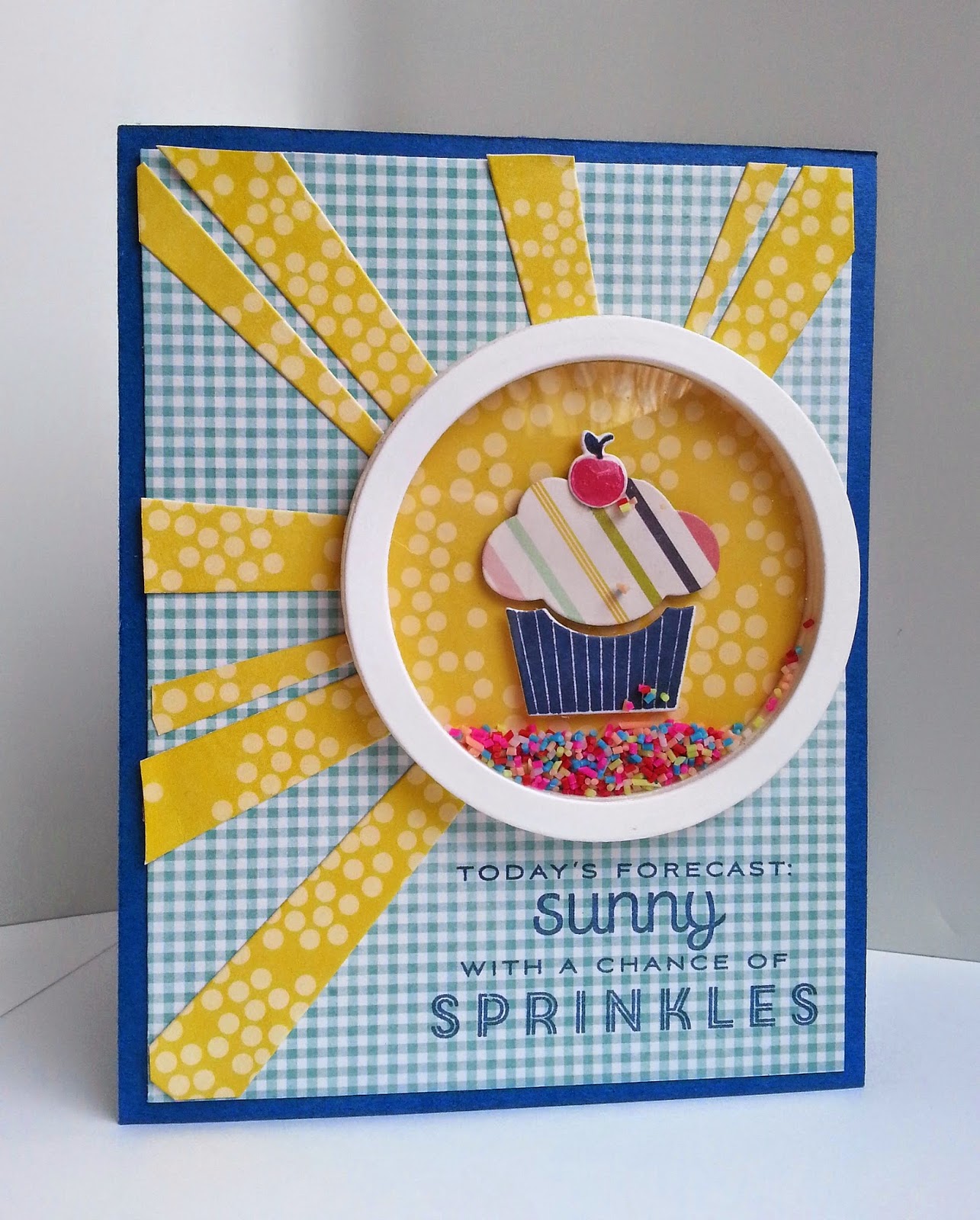 Gingham Girl Sunshine and Sprinkles