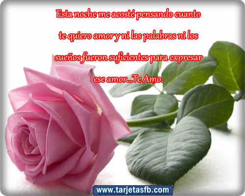 : Tarjetas de rosas con frases de amor para etiquetar en tu muro : Tarjetas de rosas con frases de amor para etiquetar en tu muro