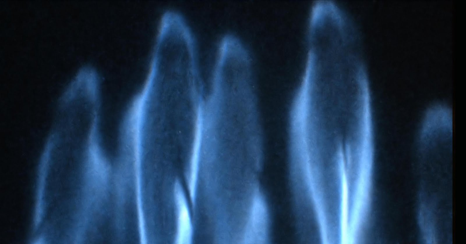 Bioluminescent Tattoo