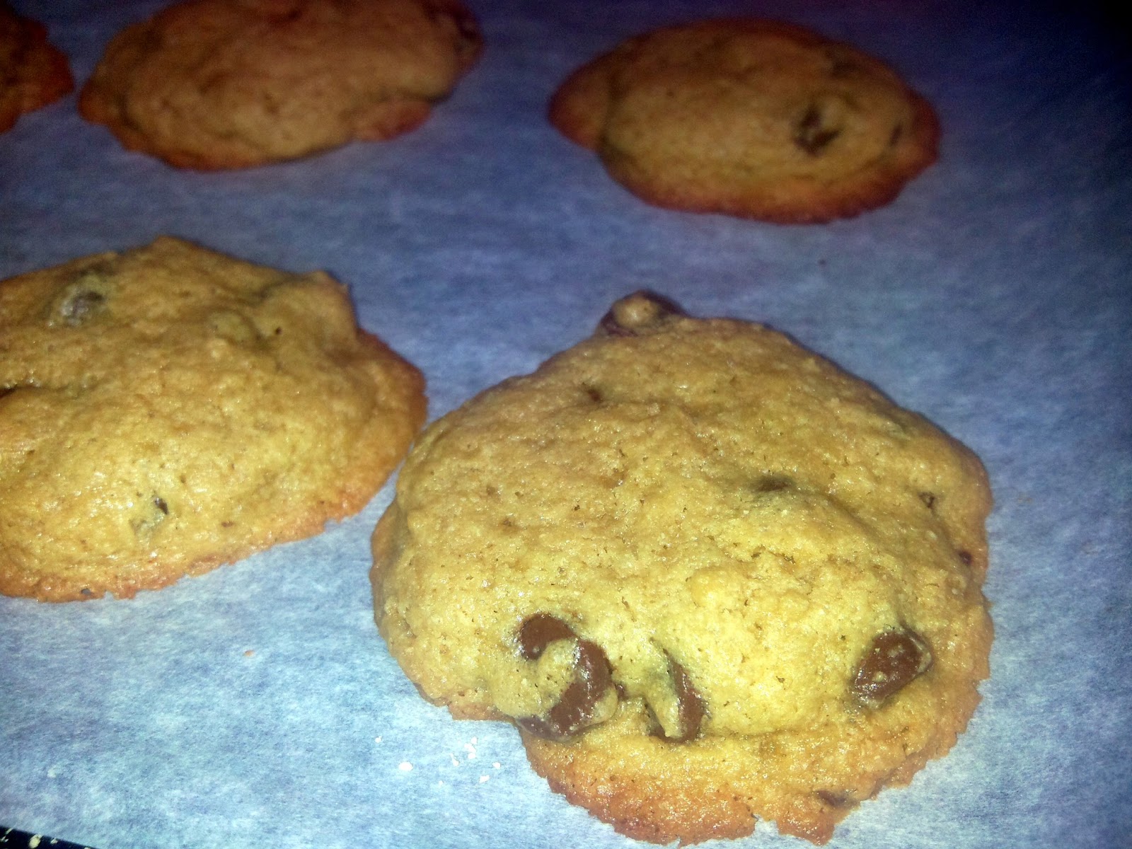 Twigs, Leaves, and Grass Garbanzo Flour Chocolate Chip Cookies