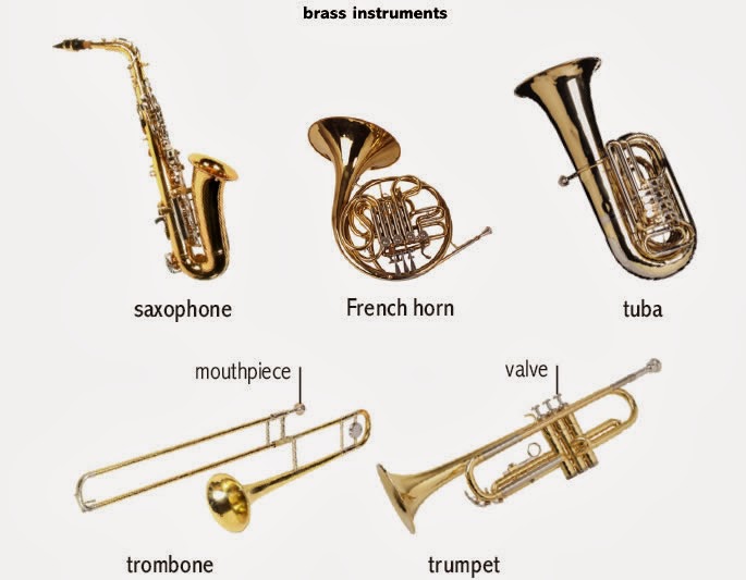 Examples Of Horn Instruments at Wilmer Showalter blog