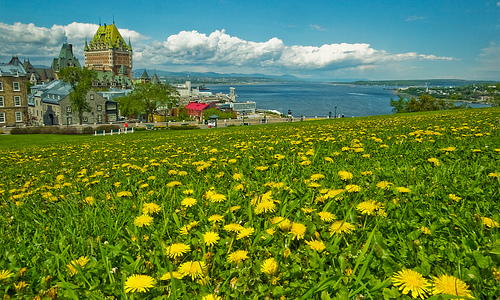 Great canadian casino quebec city