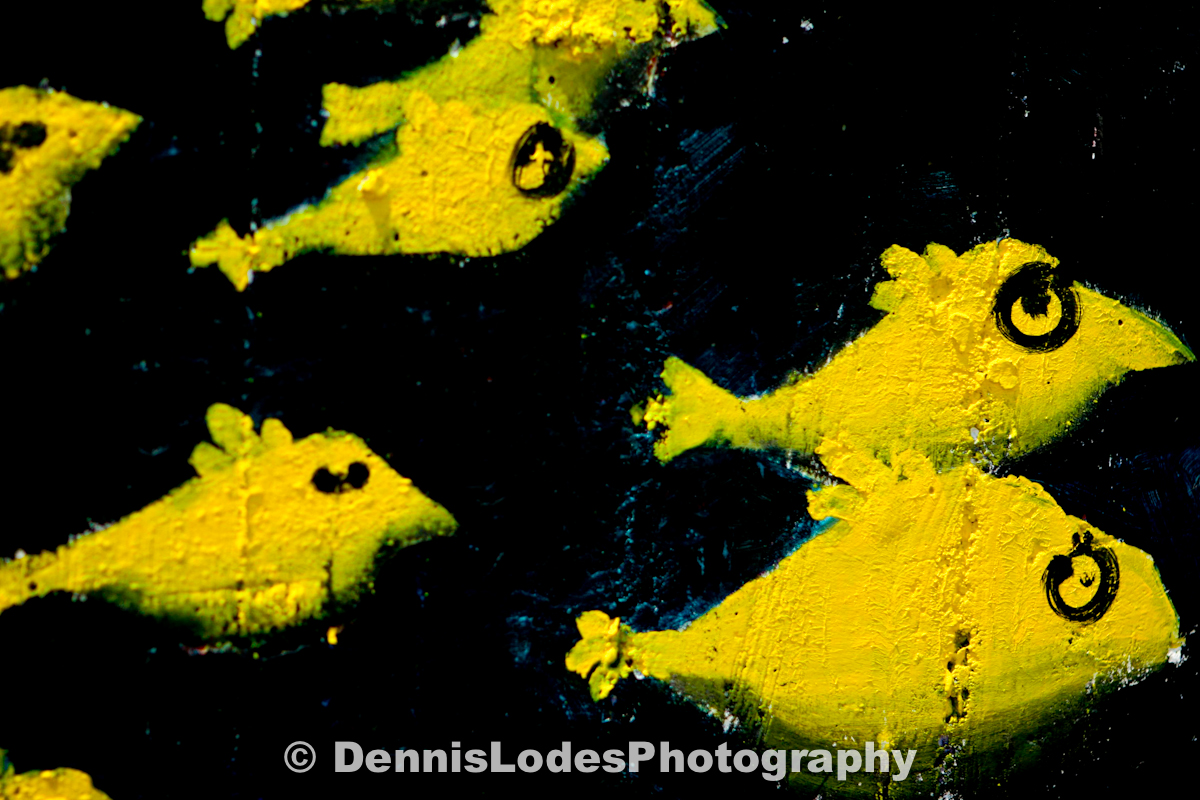 Bay Area Wall Paint Dennis Lodes Photography