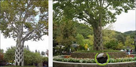 The Basket Tree The Basket Tree