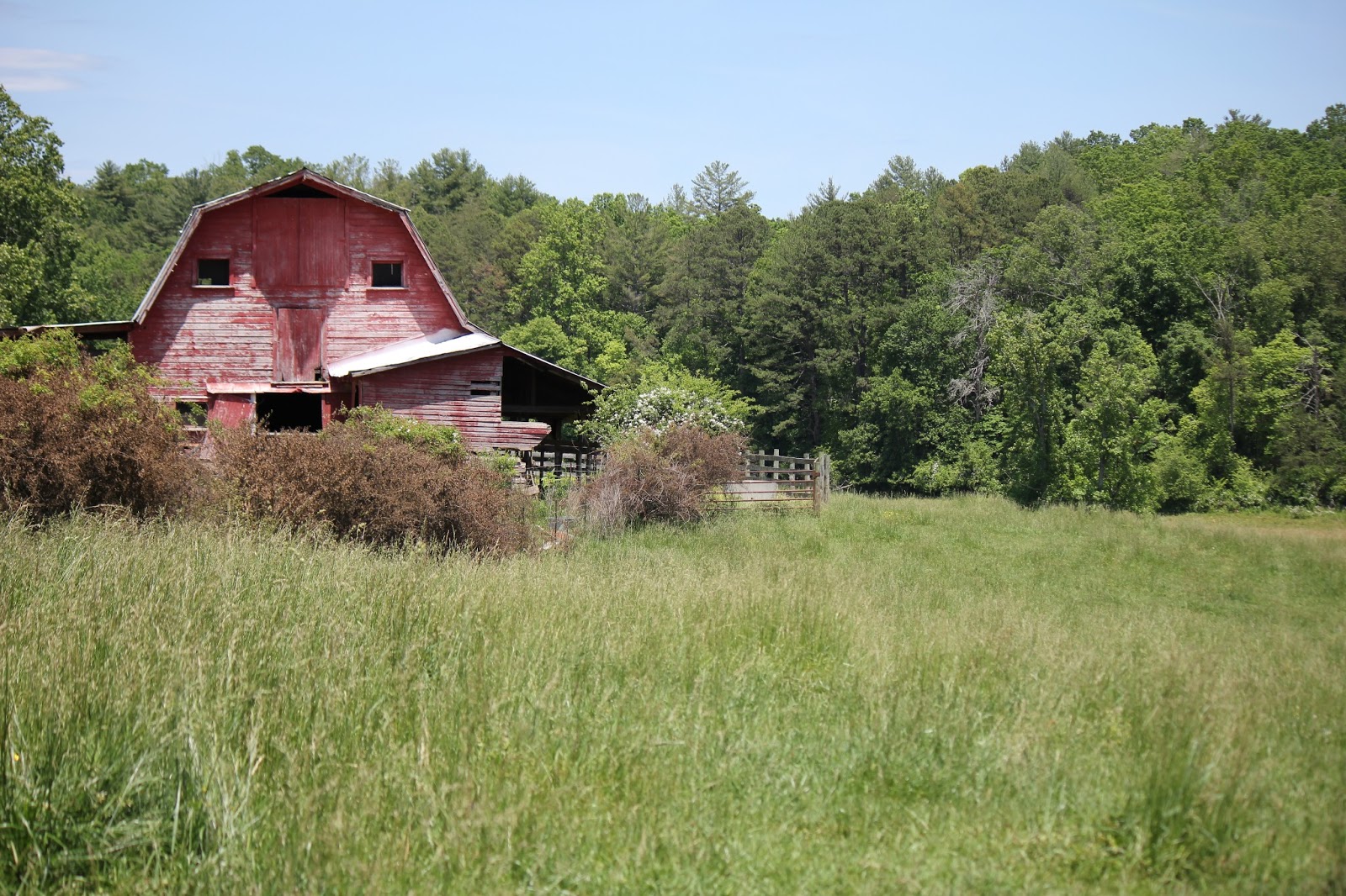 Where S Trevor Simply Farmlife Northwestern South Carolina