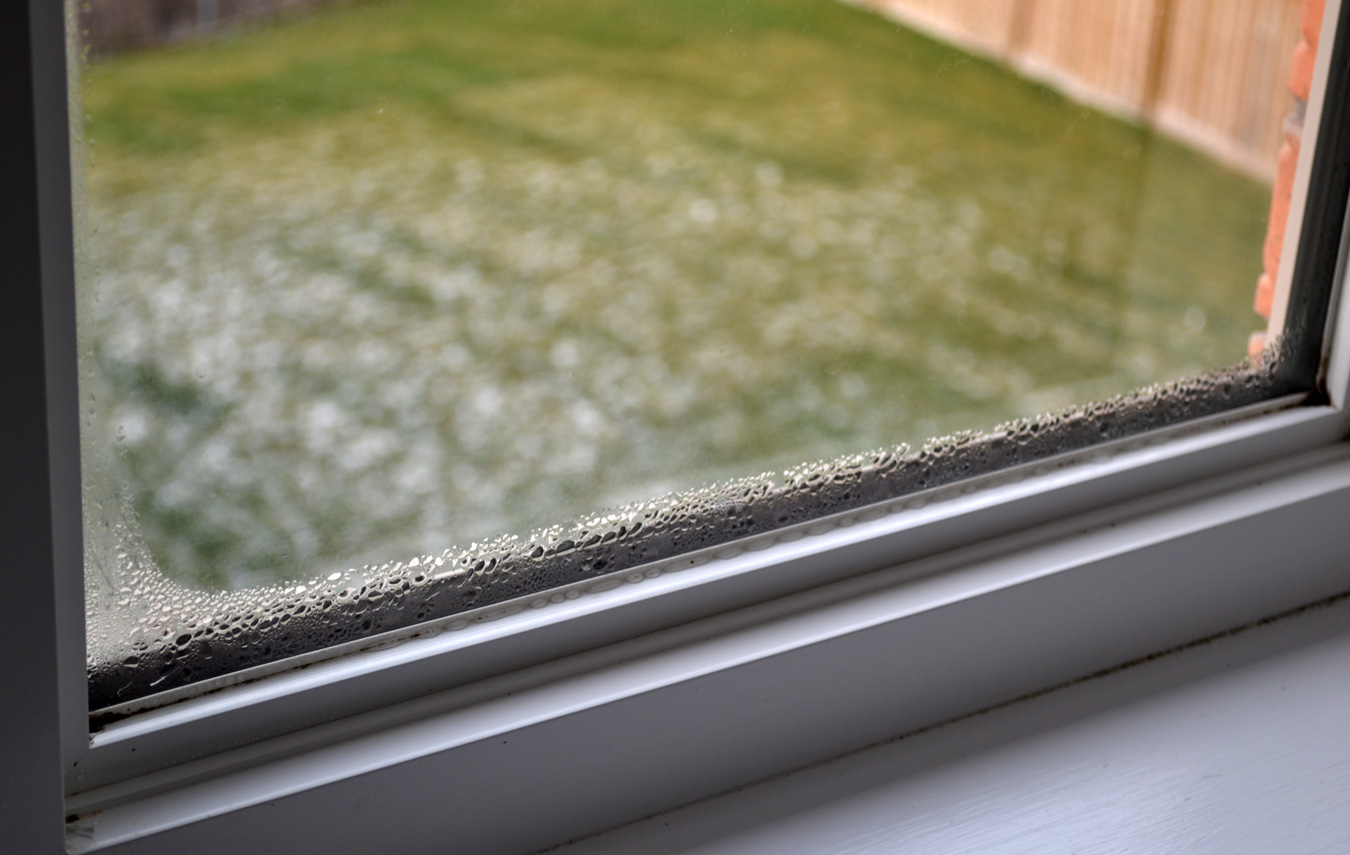 HomeReminders Wet "Winter" Windows