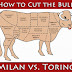 Milan vs. Torino: Cut the Bull