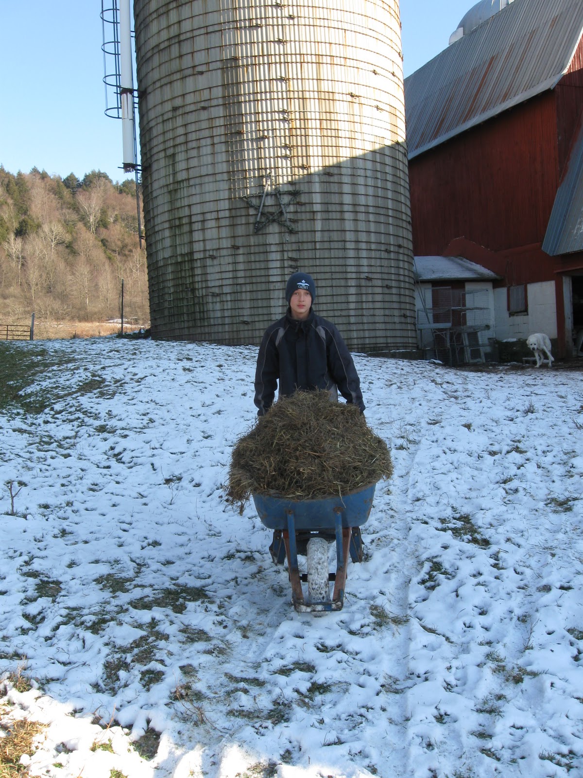 Maggie's Farm Mucking Out