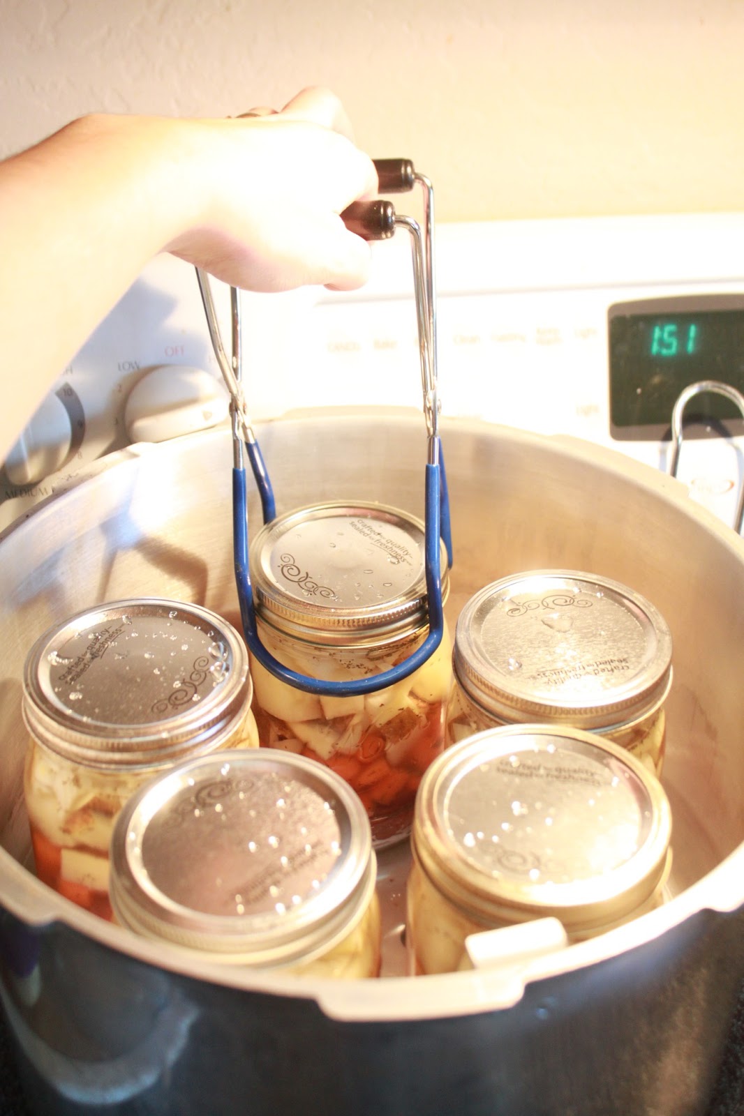 Raw Pack Beef Stew (Pressure Canning) HeartWise Essential Solutions