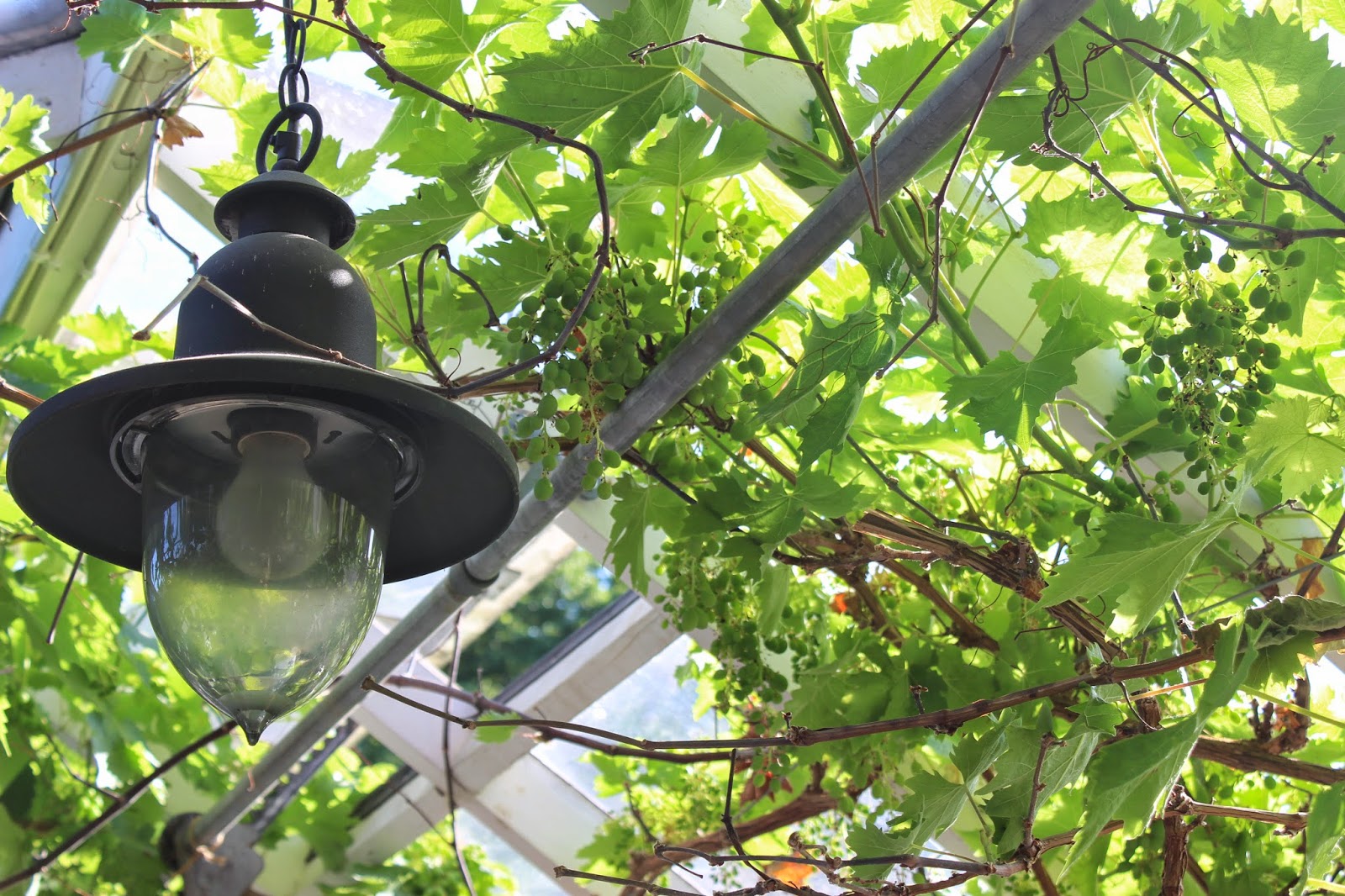 Marthamildred blogg: juni 2014