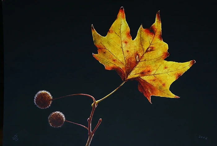 Ottorino De Lucchi 1951 | Italian Hyperrealist painter