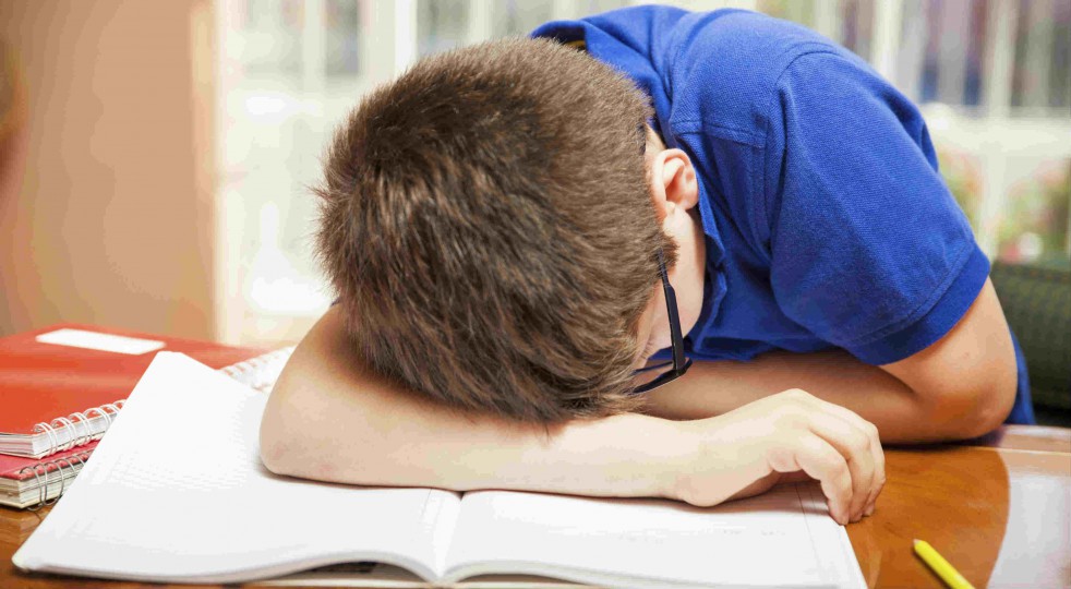 La Professoressa Isabella Milani E Online Non Date Compiti Per Le Vacanze Di Natale Su Il Libraio 543 Post