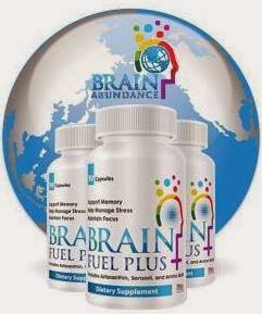 brain abundance, ingredients, phenylalanine, brain fuel plus, amino acid,