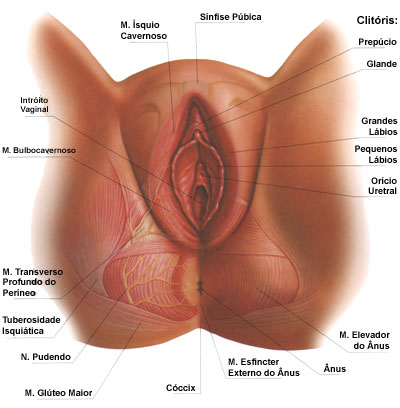 big hands hand job penis uretra vagina